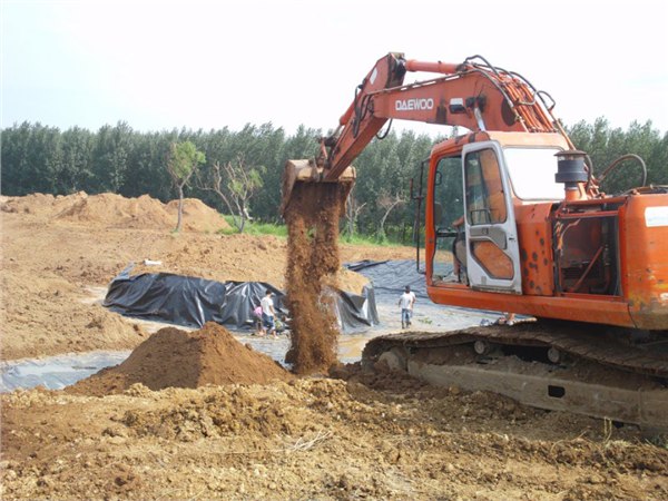 那有挖掘机驾驶员铲车司机|淄博金星挖掘机培