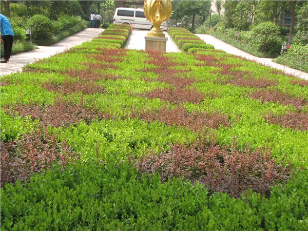 绥化市环保园林绿化工程 华曦园林绿化一级资