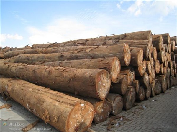 马来西亚木材进口到港后如何办理提货|报关手