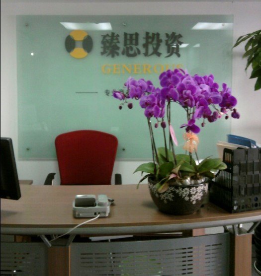 杭州注册法国公司收费标准|杭州臻思投资咨询