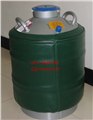 修空调氮气10升氮气液氮罐厂家美容院液氮罐 图片