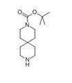 3,9-二氮杂螺[5.5]十一烷-3-甲酸叔丁酯盐酸盐  图片