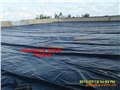 供应水产养殖防渗膜泥鳅养殖用防渗膜土工膜 供应信息