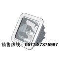 NFC9100防眩棚顶灯 图片