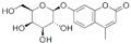 4-甲基伞形酮酰-beta-D-吡喃糖苷 图片