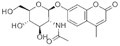 4-甲基伞形酯-N-乙酰氨基-BETA-D-葡萄糖 图片