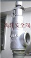 A27H-25C外螺紋彈簧式安全閥 圖片