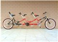 24寸经典款三人自行车/风景区出租三人自行车/广州三人自行车 图片
