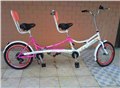 新款双人折叠自行车 广州双人折叠自行车 图片