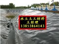 HDPE防水膜 双糙面河道治理防渗土工膜价格 图片