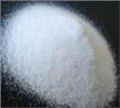 木糖酶生产厂家，木糖酶作用，木糖酶价格 图片