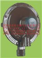 REGO燃气调压器，LV5503H820，LV5503B8首选诺希尔  图片
