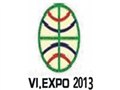 2013东盟（越南.胡志明）纺织机械、皮革、鞋机、鞋材及设备展览会 图片