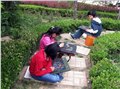 兰州儿童美术培训,兰州儿童美术培训班 供应信息