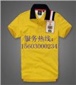 提供广州时尚T恤厂家 供应信息
