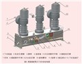 10KV柱上真空斷路器 圖片