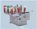 ZW8-12G帶隔離刀真空斷路器 圖片
