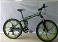路虎自行车 路虎一体轮折叠自行车 名牌自行车 广州领步自行车 图片