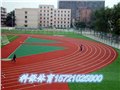 上海塑胶跑道施工方案|施工报价|球场围网 图片