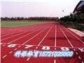 杭州400米标准塑胶跑道|生产厂家|球场围网 图片