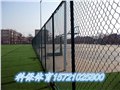 杭州球场围网施工报价|塑胶篮球场|塑胶跑道 图片