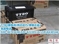 TTBO蓄电池 图片