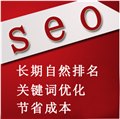 搜索引擎优化排名服务 搜索引擎推广 搜索引擎排名优化 供应信息