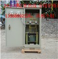 供应新疆升压柜  DYG-15KVA 7.5KW电压低控制柜 图片
