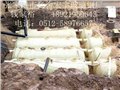 浙江省舟山市优质玻璃钢化粪池隔油池 供应信息