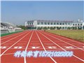 滁州塑膠跑道施工方案|施工報價|球場圍網  圖片