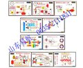 山东易航程控电教板 图片