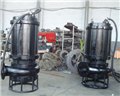 合肥砂泵，泥沙泵，100ZSQ70-40-18.5潜水渣浆泵 图片