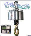 漣水500kg吊磅優(yōu)質(zhì)保修吊秤廠家 圖片