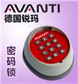 遥控车库门遥控器：德国锐玛AVANTI 遥控密码锁 供应信息