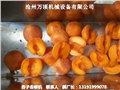 杏干加工機械 杏去核機  圖片