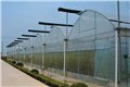 青岛防虫网-章丘鑫岳塑料厂 供应信息