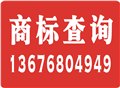 义乌/东阳/浦江/永康/金东/婺城商标查询的步骤 图片