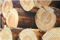 深圳进口木材标签代理/深圳进口木材资料 图片