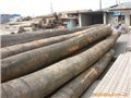 深圳进口木材货运代理/深圳进口木材货代公司 图片