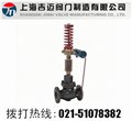 V230D01自力式压力调节阀-上海吉迈 图片