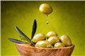深圳橄榄油进口报关公司|意大利橄榄油进口代理 图片