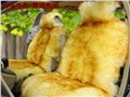 汽车坐垫品牌 供应信息