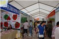 河池美食展位，广西美食展位 供应信息