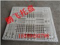 塑料托盘生产厂家 供应信息