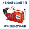 LYX100潜水呼吸空气压缩机 图片