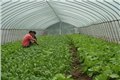 保定防虫网-章丘市水寨鑫岳塑料厂 供应信息