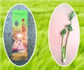 章丘鲍芹代理 供应信息