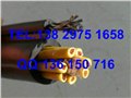 RVVG多芯电缆,手柄控制电缆,起重机电缆 图片
