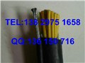 RVVG吊机电缆,深圳葫芦电缆,深圳起重机钢丝电缆 图片