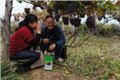 葡萄采摘价格 供应信息